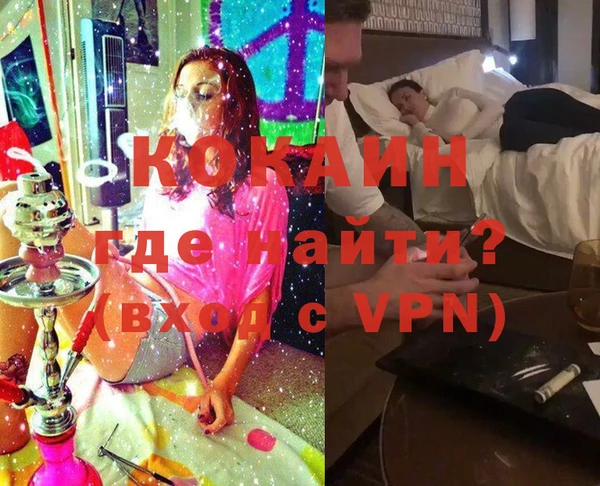 бошки Тавда