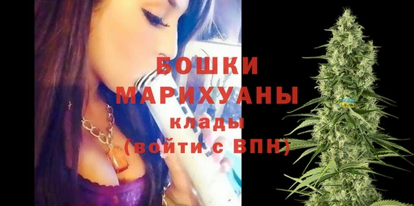 дурь Богданович