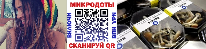 магазин  наркотиков  Заречный  ОМГ ОМГ ссылка  Галлюциногенные грибы Magic Shrooms 